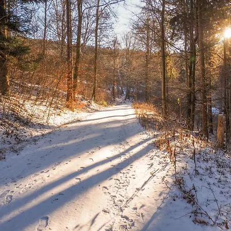 Alb-suite Family Friendly Premium 2br Lägenhet Balingen