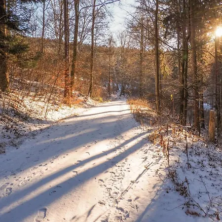 Alb-suite Family Friendly Premium 2br Lägenhet Balingen