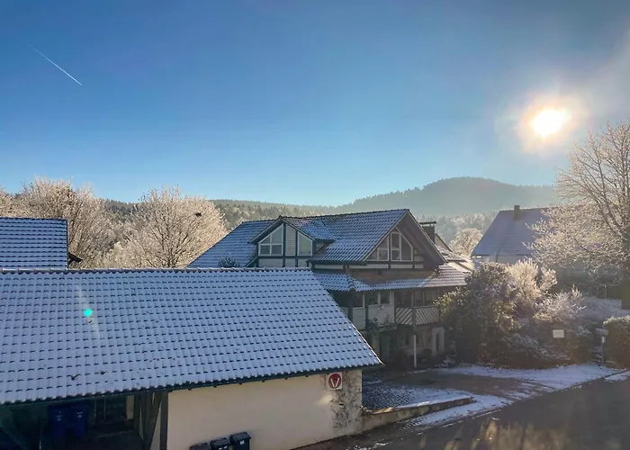 Alb-Suite Family Friendly Premium 2Br Apartment Balingen