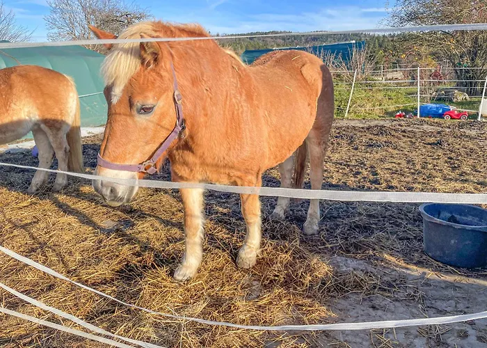 Alb-Suite Family Friendly Premium 2Br Apartment