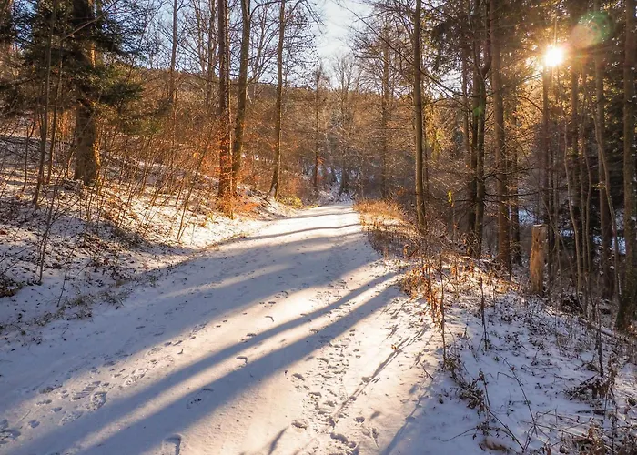 Alb-Suite Family Friendly Premium 2Br Apartment Appartement Balingen